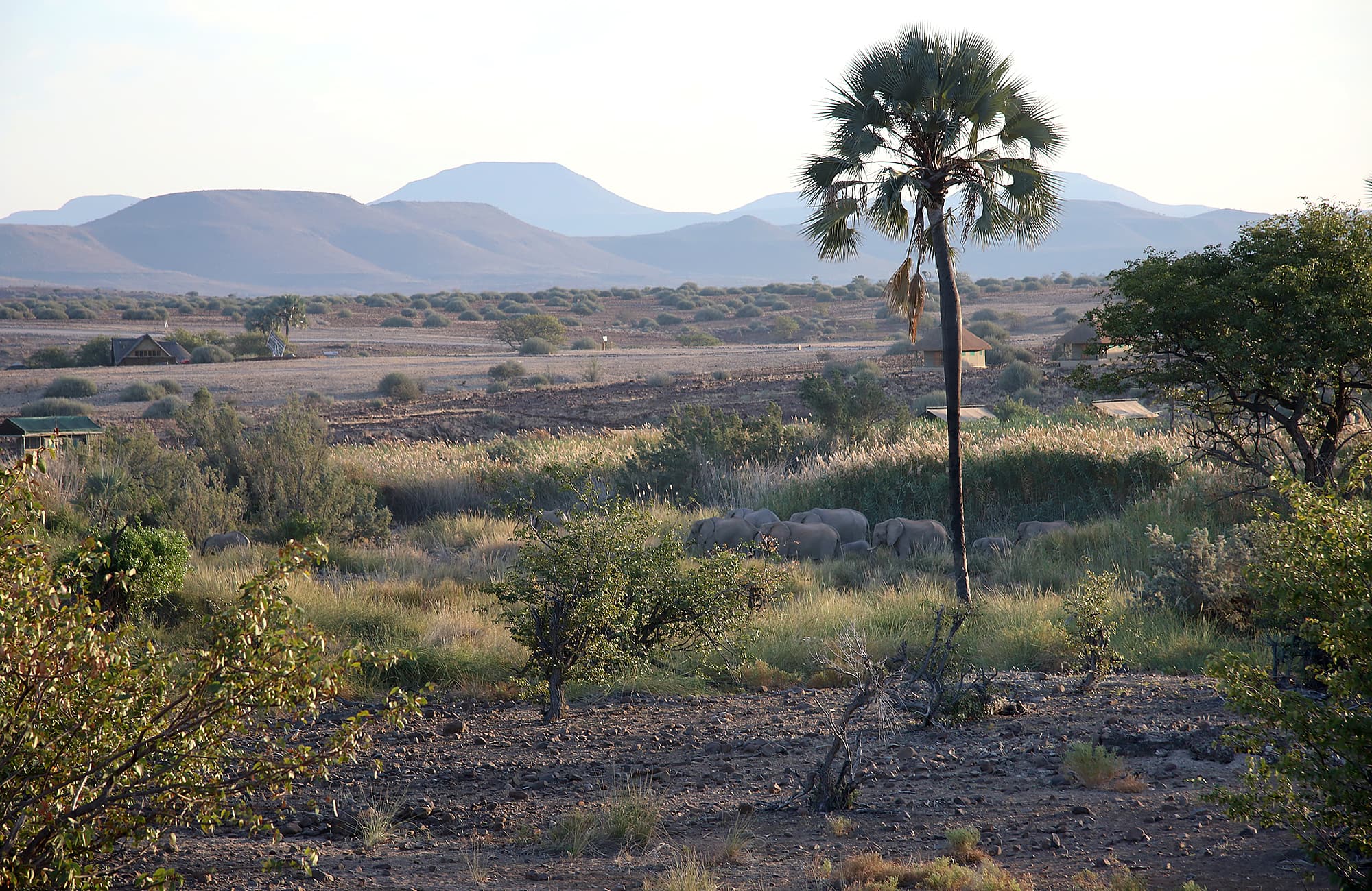 Palmwag Camping2go